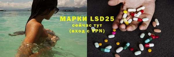 мдпв Богородицк
