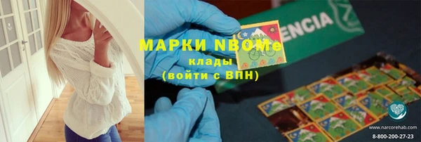 мдпв Богородицк