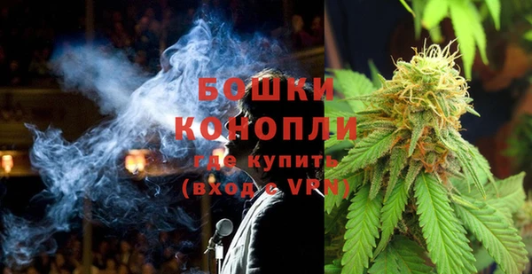 мдпв Богородицк