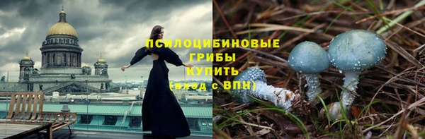 мдпв Богородицк