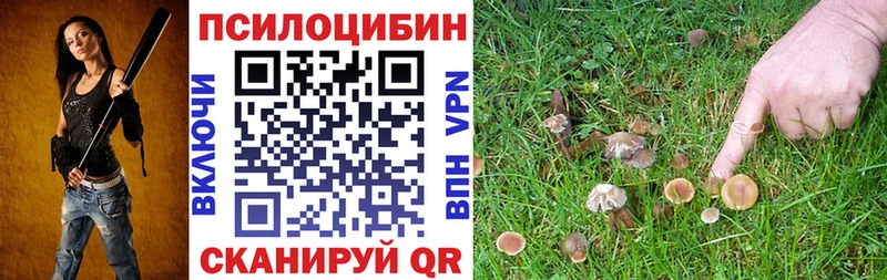 Галлюциногенные грибы Cubensis  Вяземский 